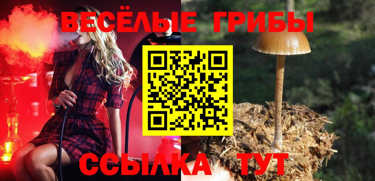 Галлюциногенные грибы Cubensis Краснокамск