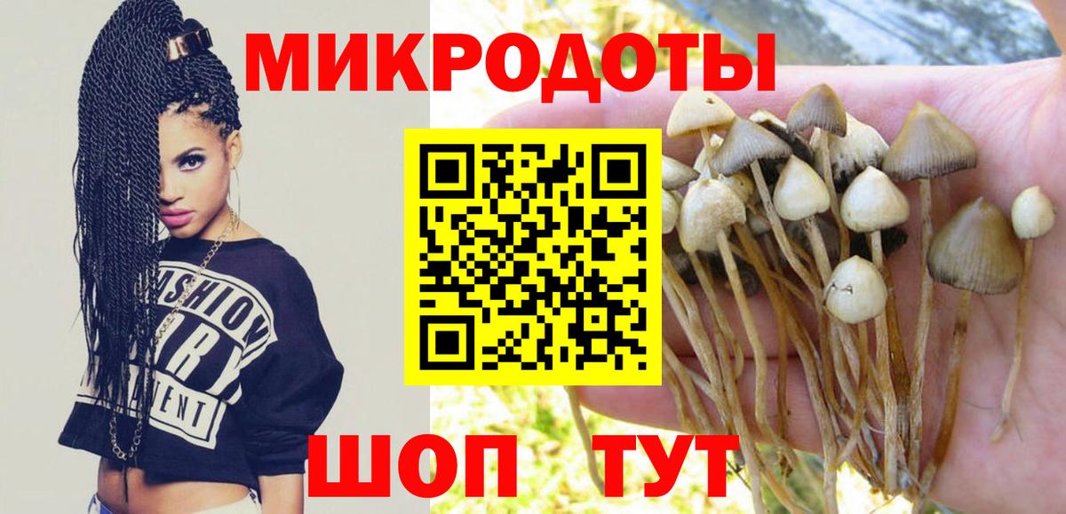 Краснокамск  цена наркотик  Вход с VPN  Галлюциногенные грибы GOLDEN TEACHER 